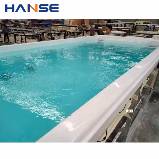 Dubai Sex SPA préfabriqué sans fin grands prix de la piscine hors sol en acrylique